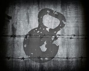 crosszone_gewicht+bg